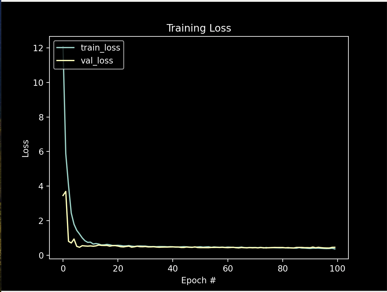 Training and validation loss curves over 100 epochs